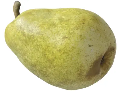Kieffer Pears 3D Model Collection