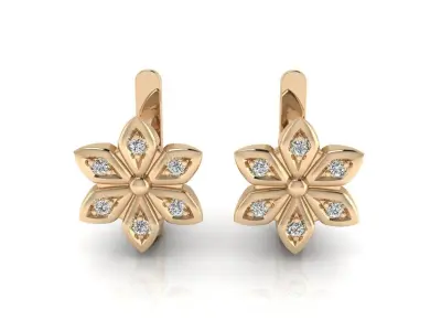 Earrings 13 3D print model