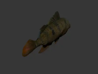 fish 4k Low-poly 3D model