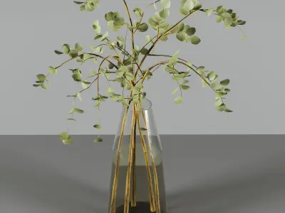 Collaction Indoor Plants 3D model