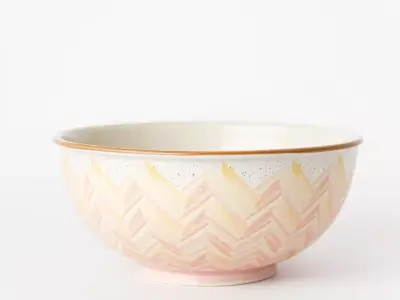 Pastel Ceramic Bowl model pack Low-poly 3D model