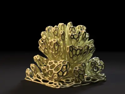Coral Voronoi decor 2 3D print model