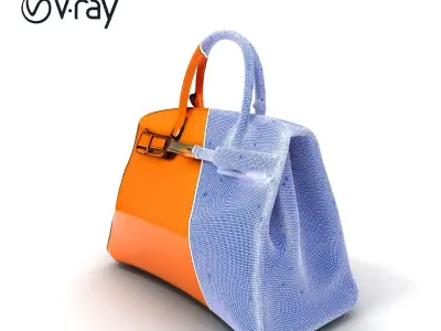 Luxury Handbag D Model Pack Low-poly 3D model