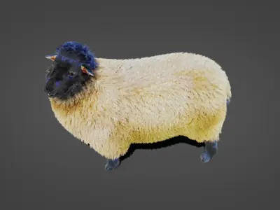 Fur Sheep Rigged in Blender  Low-poly 3D model