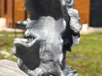 Tiger  3D print model