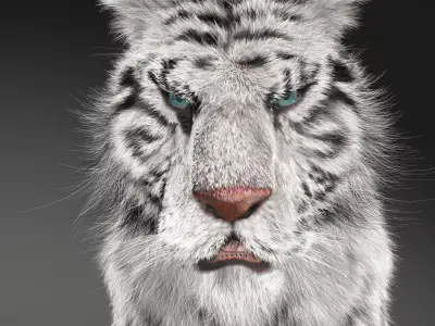 Rigged White Tiger v2 Low-poly 3D model