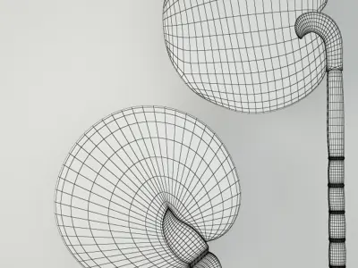 Burmese Fans 3D model