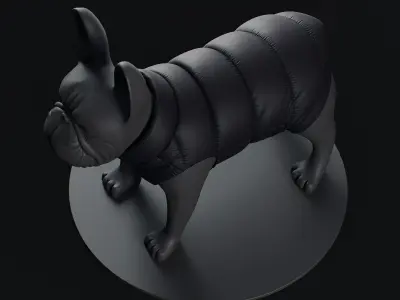 Mondog pet outfitters podo dog couture with panties 3D model