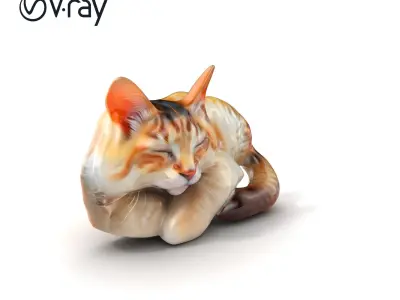 Sleeping Cat on Windowsill D Model Pack Low-poly 3D model