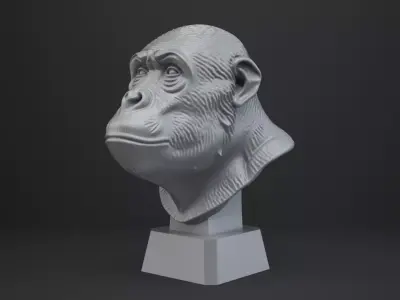 Ape Bust - Animal Figurine 3D print model purchase