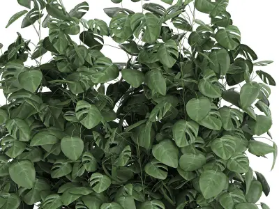 Monstera in a pot for the interior 776 3D model