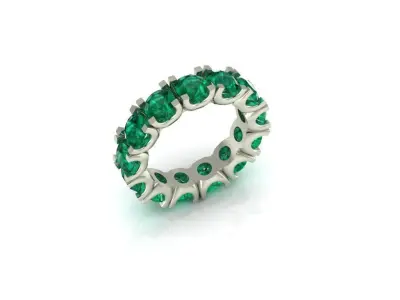 RING PRINT 3D 3D print model