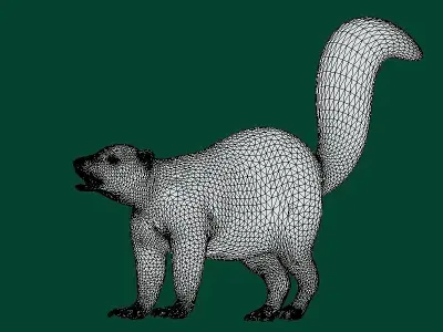 Skunk Mammal Animal 3D model