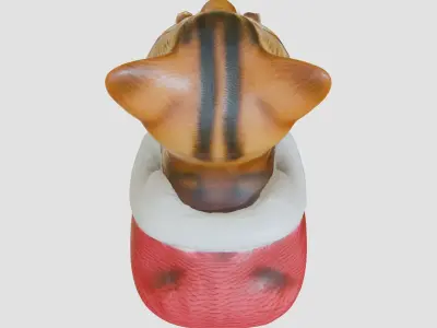 Cute Cat in Cozy Slipper Toy Low-poly 3D model