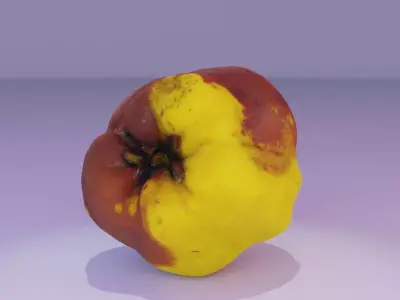 Quince fruit 07 high-poly 3D model