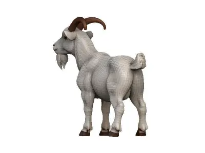 Goat-Goat Low-poly 3D model