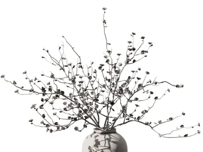 Dry Flower Branche Bouquet 3D model