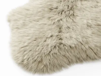 Forsyth New Zealand Sheepskin Skin Rug 3D model