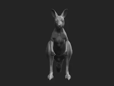 Kangaroo baby 3D model