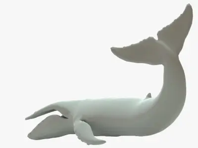 Humpback Whale Rigged Basemesh Low-poly 3D model