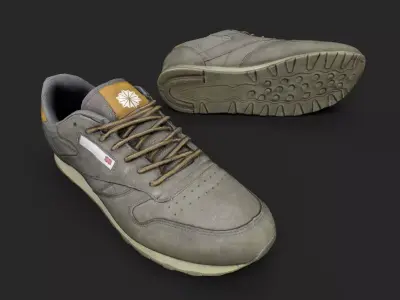 Pair of Worn Sneakers 3D model