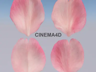 Flying Petals Pack  Low-poly 3D model