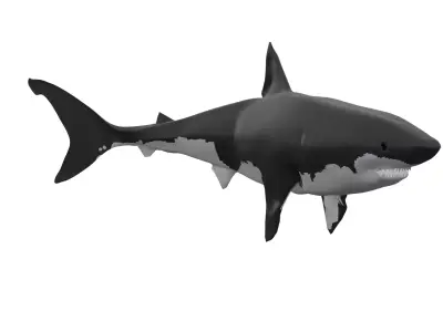 Great White Shark Rigged and Textured Low-poly 3D model