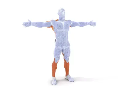 Muscular Male Figure Model Pack with Athletic Pose Low-poly 3D model