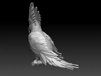 parrot  cacadu 3D print model