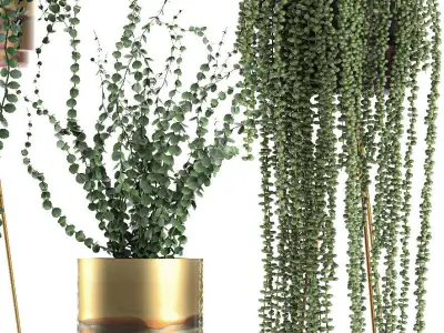 Plants in gold pots for the interior 602 3D model
