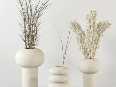 Dry plant set  3D model