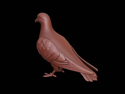 Pigeon Animal Sculpture 3D print model get