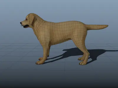 Dog rigged and animated Low-poly 3D model