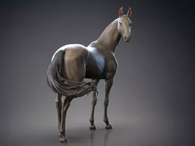 Akhal-Teke horse standing I 3D Sculpting 3D print model