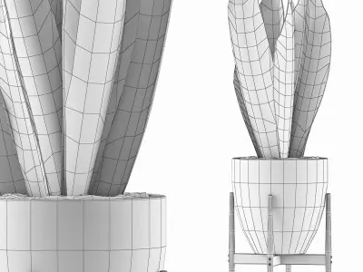 Plants Collection 104 3D model