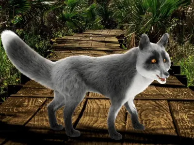 Fur Gray Fox Rigged Model Low-poly 3D model