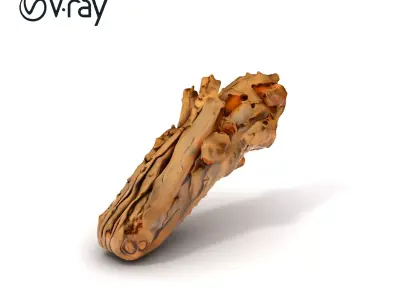Realistic Driftwood Model Pack for Environment Rendering Low-poly 3D model