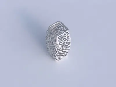 Vase rectangle with faceted and twisted organic lattice 2 3D print model