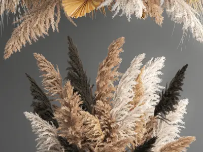 Hanging decor of their dried pampas grass 188 3D model