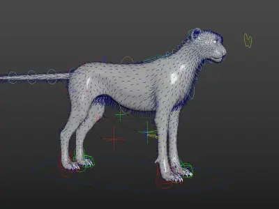 Cheetah Full pack 3D model