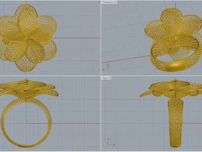 women ring 3D print model get