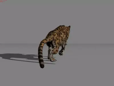 Jaguar Animal  Low-poly 3D model