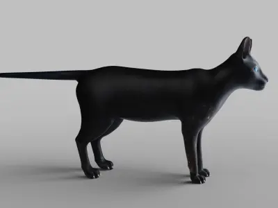 Cat Black Rigged in Blender Low-poly 3D model