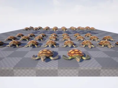 Sea turtle Low-poly 3D model 3