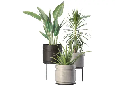 plant set-001 3D model