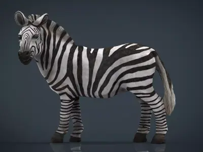 ZEBRA 3D model