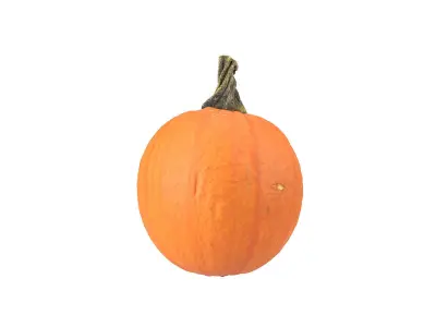 Photorealistic Decorative Gourd 3D Scan 3 3D model