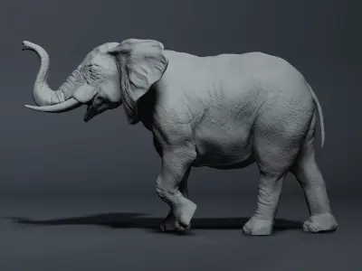 Realistic Elephant High-poly 3D model