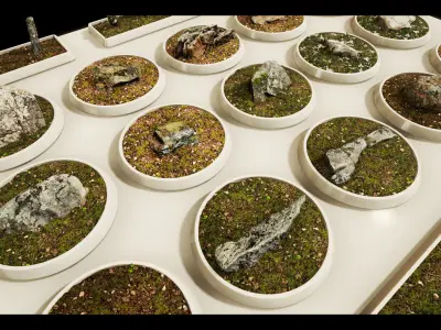 Scan Nature Pack - UE Project 4 10 Low-poly 3D model