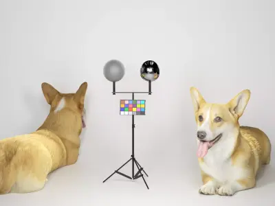 Corgi dog lying 03 Low-poly 3D model